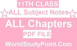 1st Year All Subjects