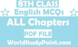 8th Class English MCQs Test
