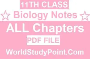 1st Year Biology