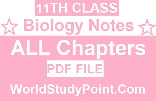 1st Year Biology