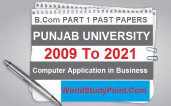 B Com Computer Application in Business Past Papers