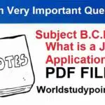 What is a Job Application